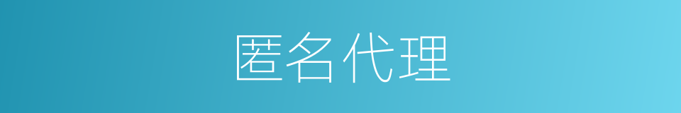 匿名代理的同义词