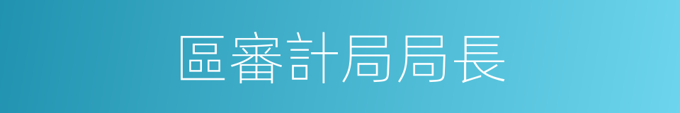 區審計局局長的同義詞