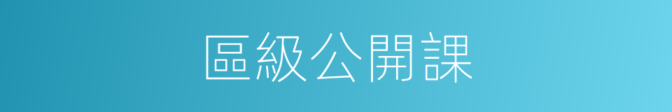 區級公開課的同義詞