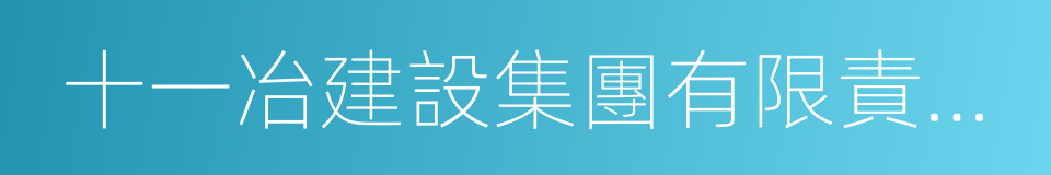 十一冶建設集團有限責任公司的同義詞