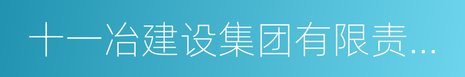 十一冶建设集团有限责任公司的同义词