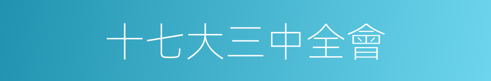 十七大三中全會的同義詞
