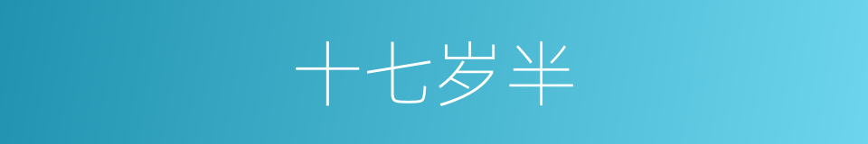 十七岁半的同义词