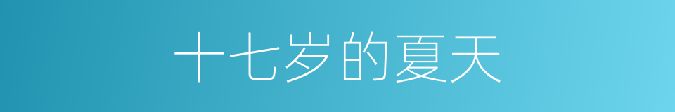 十七岁的夏天的同义词