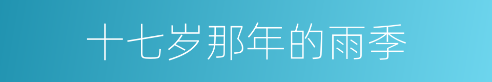 十七岁那年的雨季的同义词