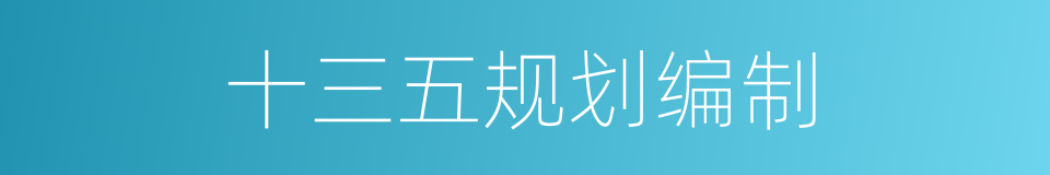 十三五规划编制的同义词