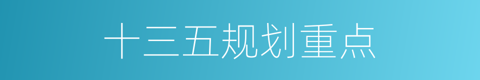 十三五规划重点的同义词