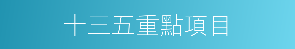 十三五重點項目的同義詞