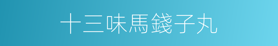 十三味馬錢子丸的同義詞