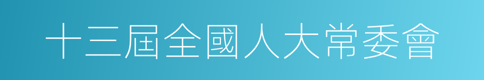 十三屆全國人大常委會的同義詞