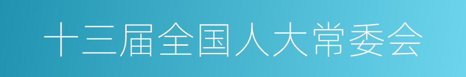 十三届全国人大常委会的同义词