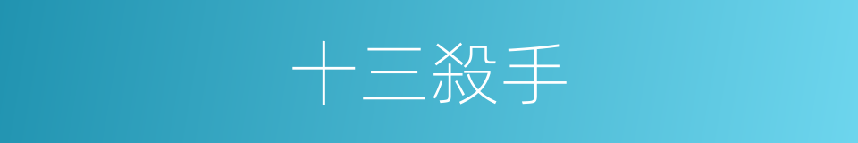 十三殺手的同義詞