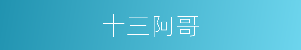 十三阿哥的同义词