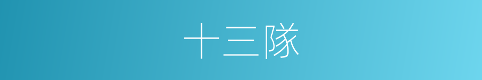 十三隊的同義詞