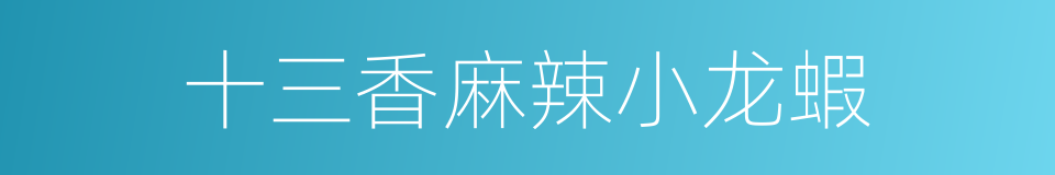 十三香麻辣小龙蝦的同義詞