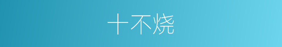 十不烧的同义词
