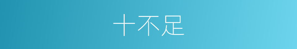 十不足的同义词