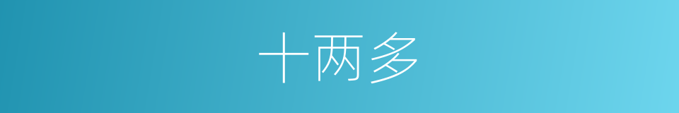 十两多的同义词