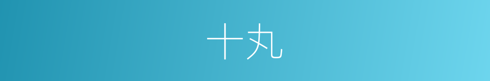 十丸的同义词