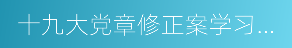 十九大党章修正案学习问答的同义词