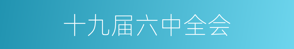 十九届六中全会的同义词