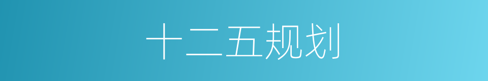 十二五规划的同义词