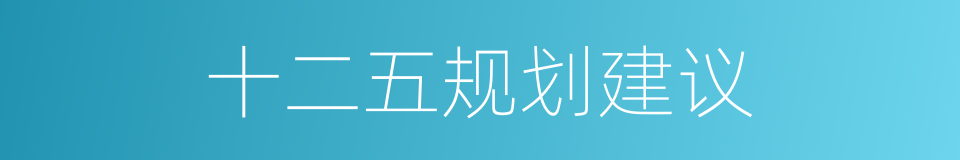 十二五规划建议的同义词