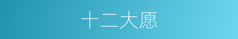 十二大愿的同义词