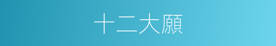 十二大願的同義詞