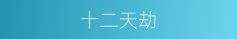 十二天劫的同义词