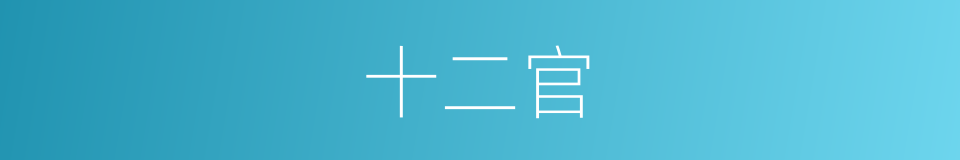 十二官的意思