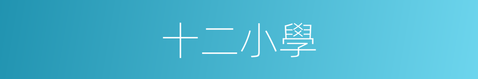 十二小學的同義詞