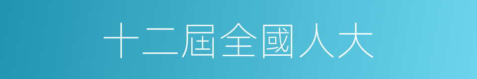 十二屆全國人大的同義詞