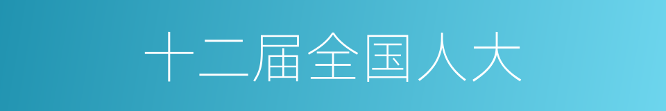 十二届全国人大的同义词