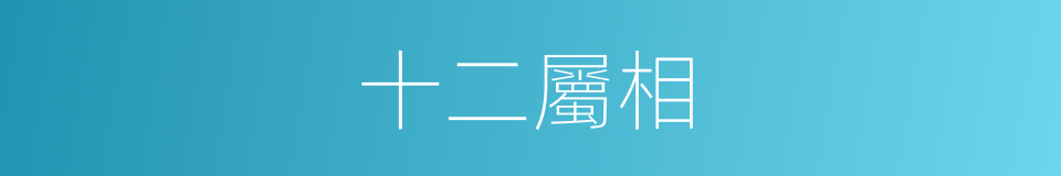 十二屬相的同義詞