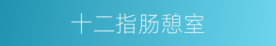 十二指肠憩室的同义词