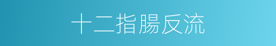 十二指腸反流的同義詞