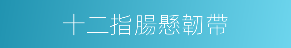十二指腸懸韌帶的同義詞