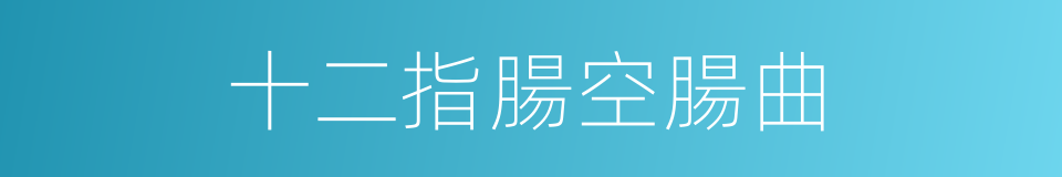 十二指腸空腸曲的同義詞