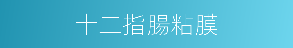 十二指腸粘膜的同義詞