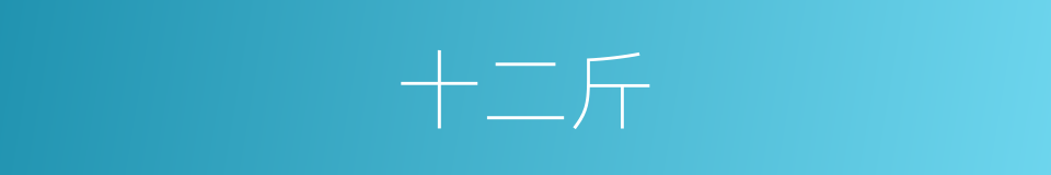 十二斤的同义词