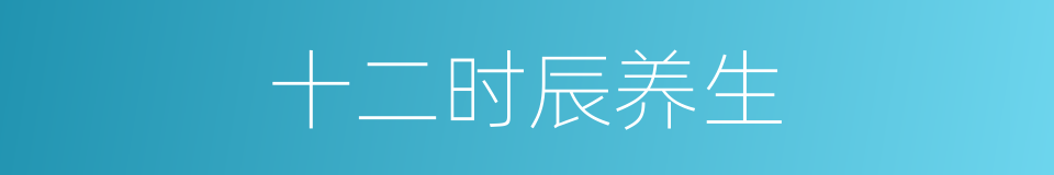 十二时辰养生的同义词