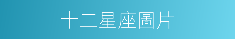 十二星座圖片的同義詞