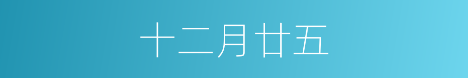 十二月廿五的同义词