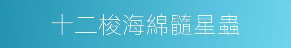 十二梭海綿髓星蟲的同義詞