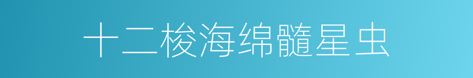 十二梭海绵髓星虫的同义词