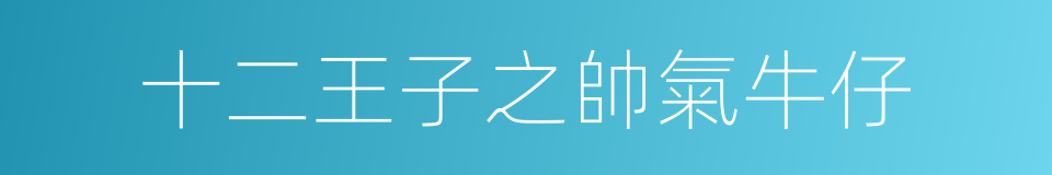十二王子之帥氣牛仔的同義詞