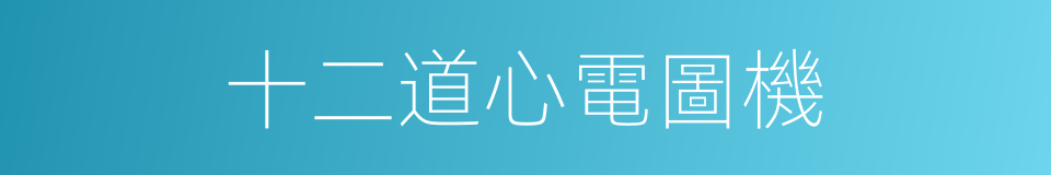 十二道心電圖機的同義詞