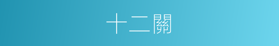 十二關的同義詞