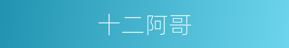 十二阿哥的同义词